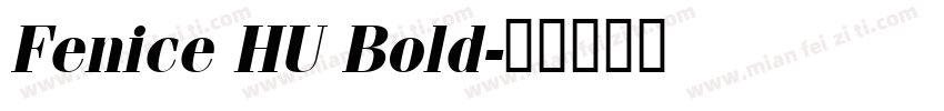 Fenice HU Bold字体转换